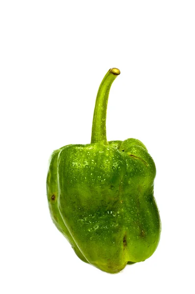 Zelená sladká paprika izolované na bílém pozadí — Stock fotografie