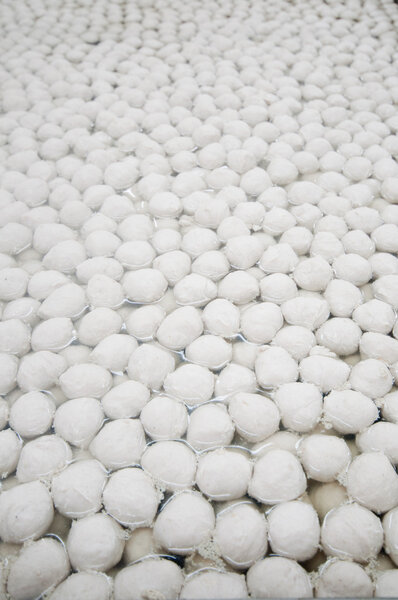 вареная свинина
 