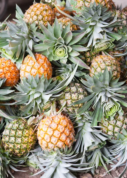 Grămadă de ananas — Fotografie, imagine de stoc