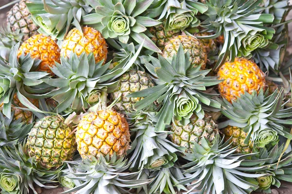 Ananas yığını — Stok fotoğraf