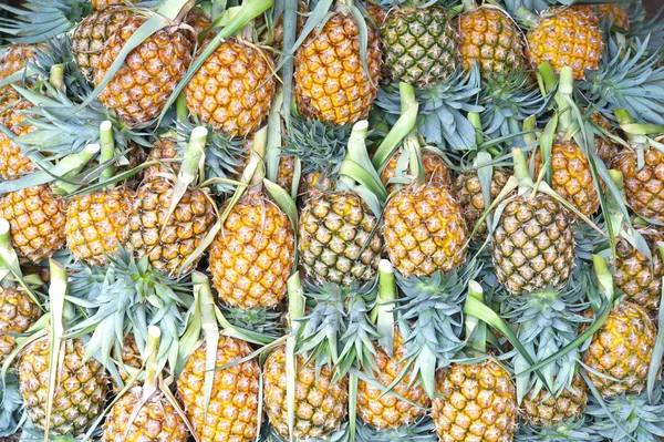 Ananas yığını — Stok fotoğraf