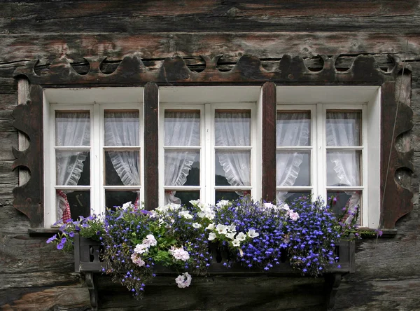 Three Windows — Stock Photo, Image