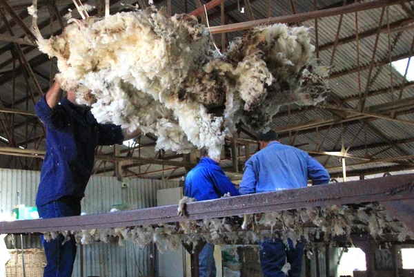 The Shearing Shed Royalty Free Stock Photos