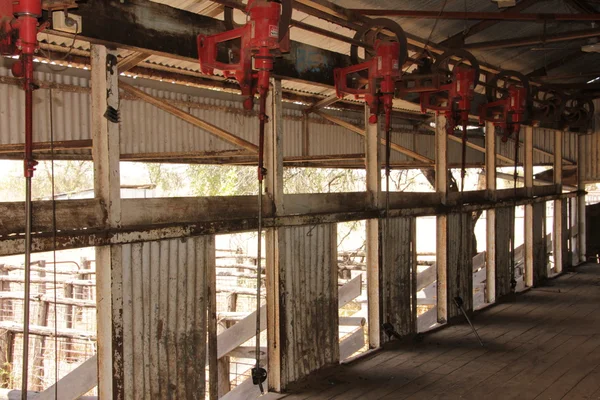 Shearing Shed Workstation — Stock Photo, Image