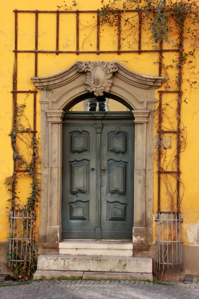 Door with yellow facade 6524 — Stock Photo, Image