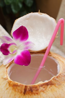 Hindistan cevizi suyu içecek.