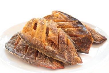 trichogaster pektoralis, kızarmış salid balık.