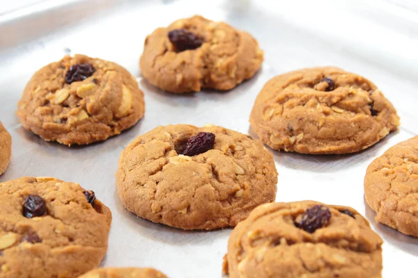 Oatmeal Rozijnen cookies. — Stockfoto