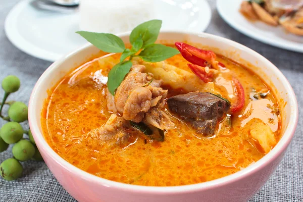 Kruidige Kip curry met bamboe scheuten. — Stockfoto