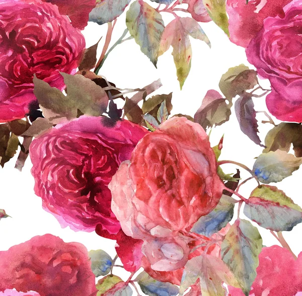 Pink Roses Pattern — Stock Photo, Image