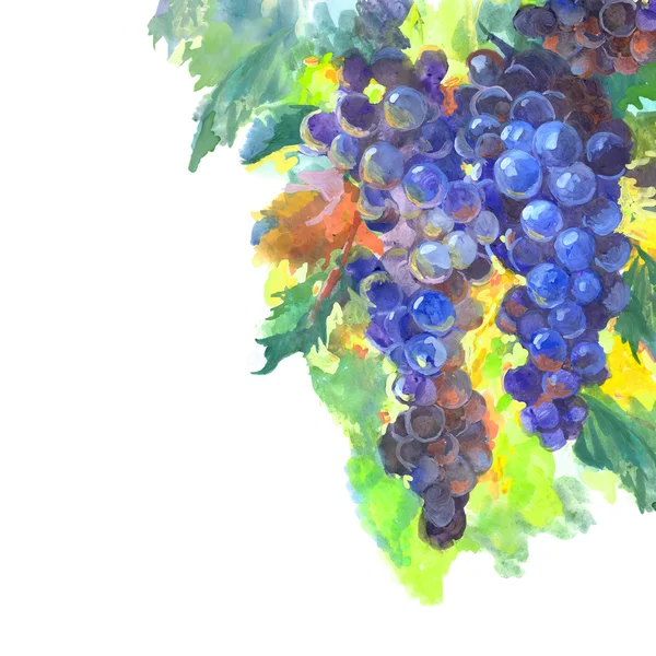 Grapes — Stock Photo, Image