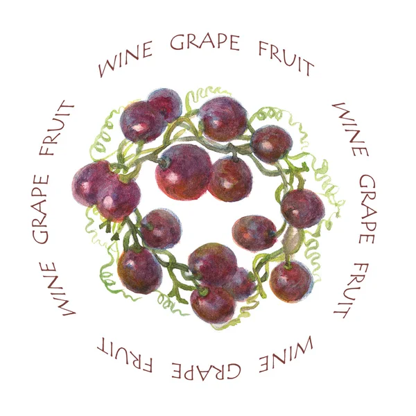 Etykieta winogron — Zdjęcie stockowe