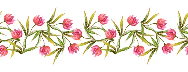 Tulipanes rosados —  Fotos de Stock