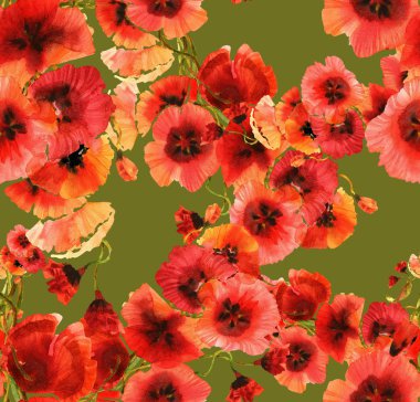 Kırmızı poppies desen