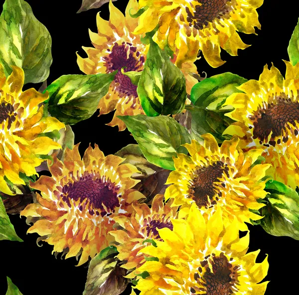 Zonnebloemen — Stockfoto