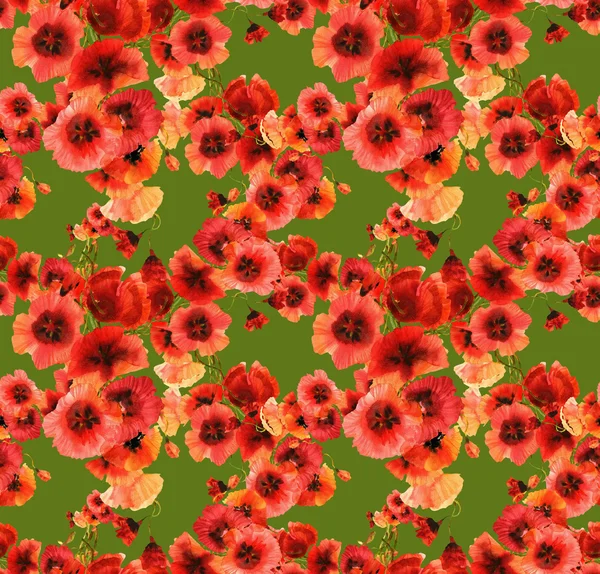 Red Poppies  Pattern — Stock Photo, Image