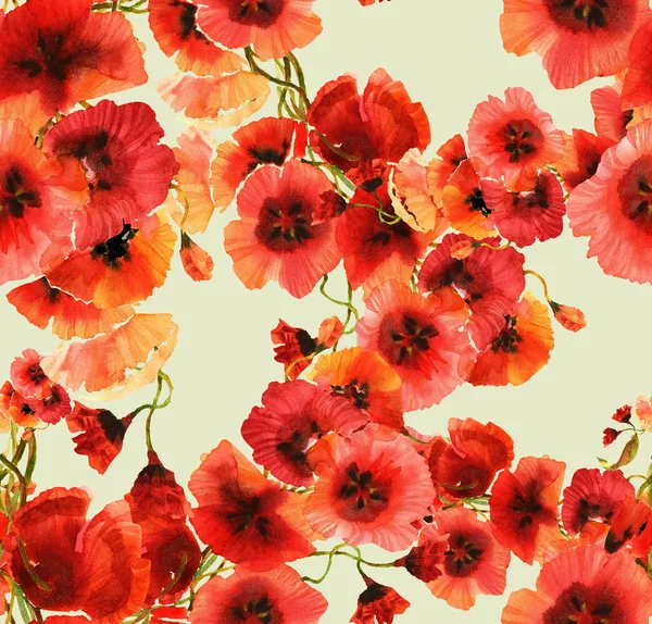 Kırmızı poppies desen — Stok fotoğraf