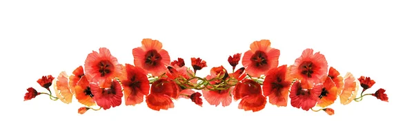 Poppies Garland — Stock Photo, Image