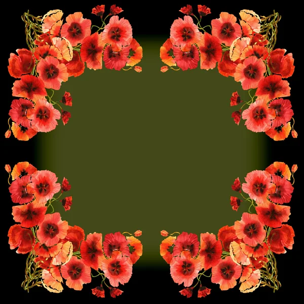 Poppies Frame — Stock Photo, Image