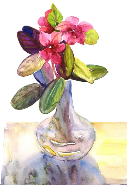 Акварельный букет розовых цветов — стоковое фото