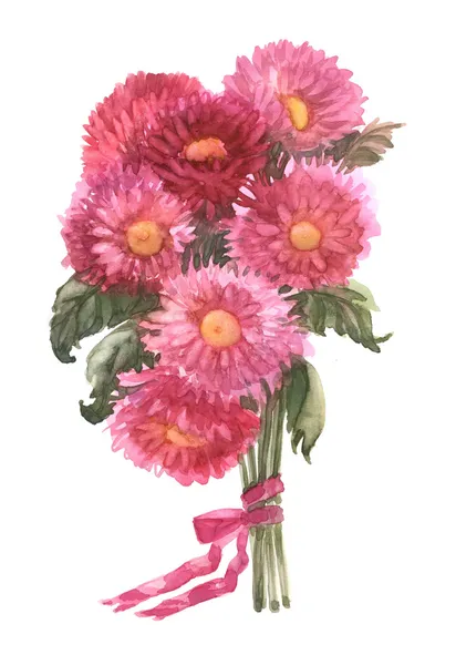 翠菊花束 — 图库照片
