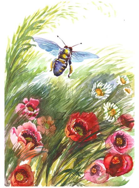 Bumble bee och sommar gräs — Stockfoto
