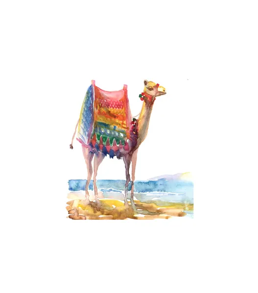 Camel sketch — Stock Photo, Image