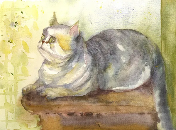 Rysunek kota. — Zdjęcie stockowe