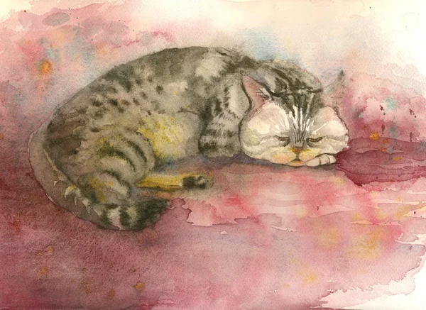 yerde yatarken kırgın kedi