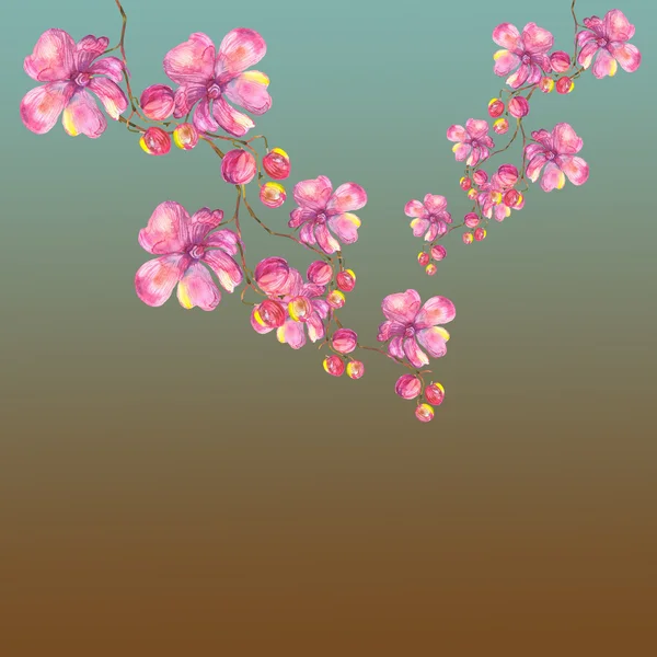 Orchideengirlande. — Stockfoto