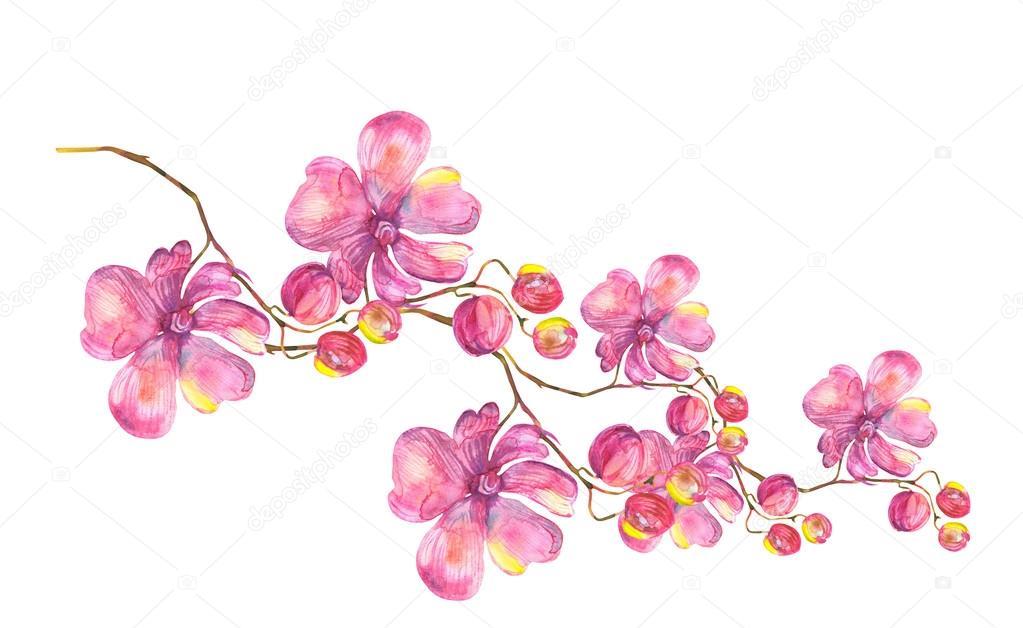 Orchid Garland.