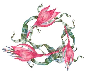 Kırmızı çiçek çerçeve.