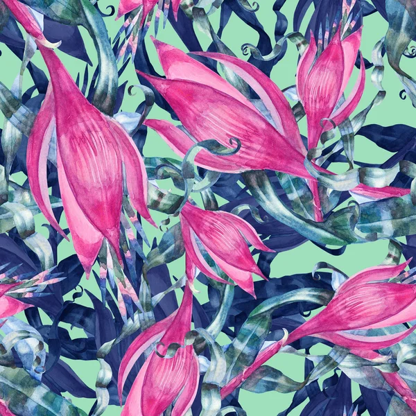 Pink  flower pattern — Stock Photo, Image