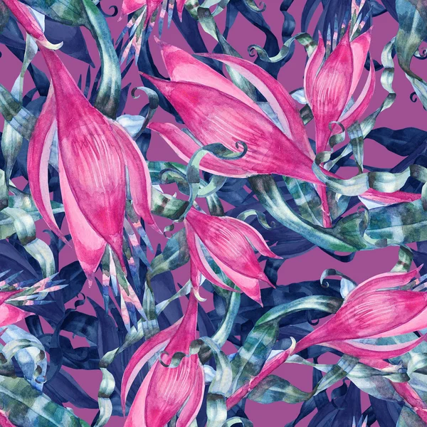 Pink  flower pattern — Stock Photo, Image