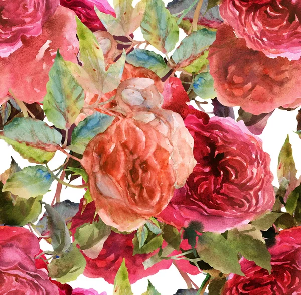 Modèle de roses — Photo