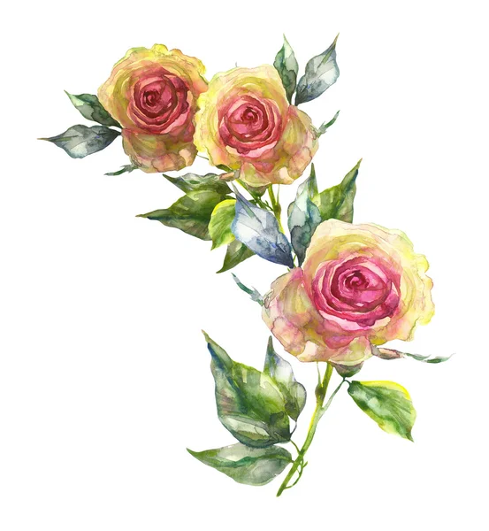 Desenho de rosas — Fotografia de Stock