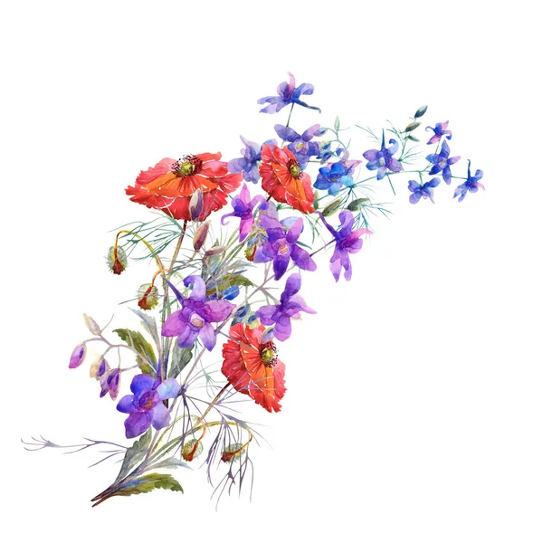 Kırmızı haşhaş ve yaz çiçek