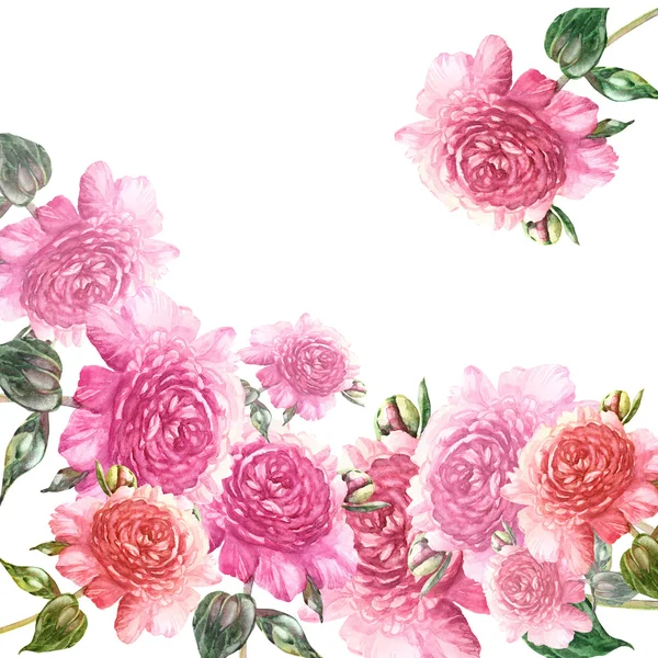 Roze pioenrozen garland — Stockfoto