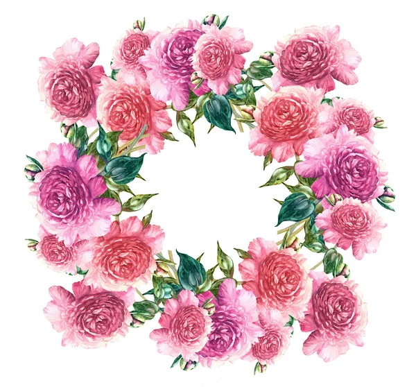Ροζ peonies γιρλάντα — Φωτογραφία Αρχείου