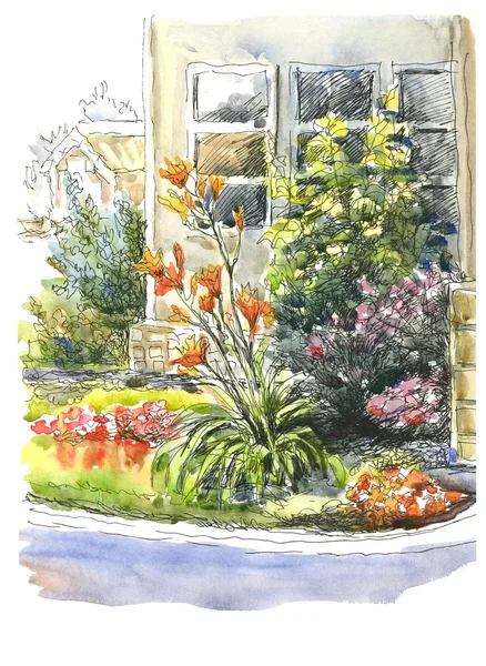 bahçede çiçek lilyum çiçek