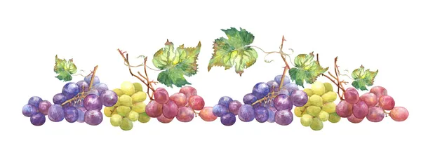 Garland av druer – stockfoto