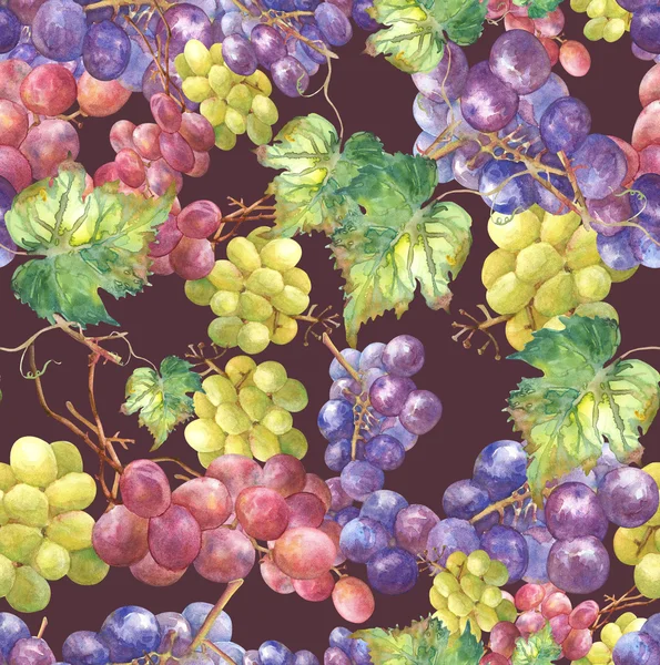 Druiven naadloos patroon — Stockfoto