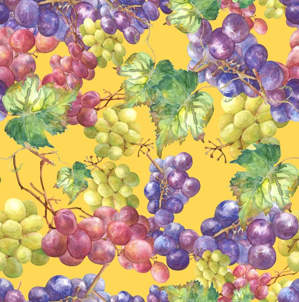 Druiven naadloos patroon — Stockfoto