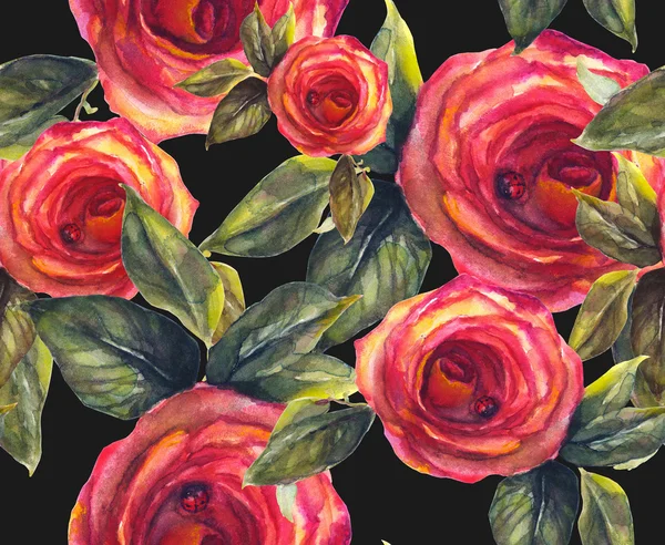 Roses seamless Pattern — Stock Photo, Image