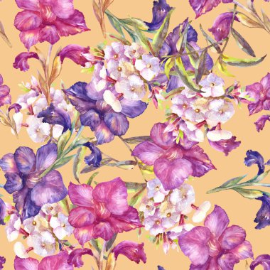 Mor Glayöl ve beyaz phlox