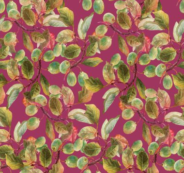 güzel Erik seamless modeli