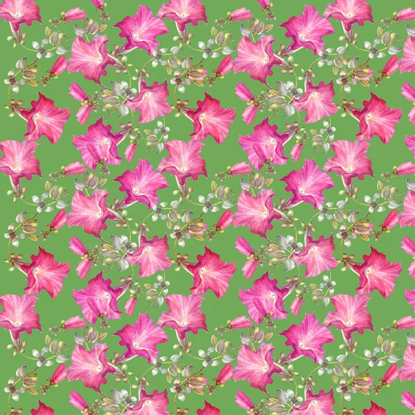 Petunia naadloze bloemenpatroon — Stockfoto