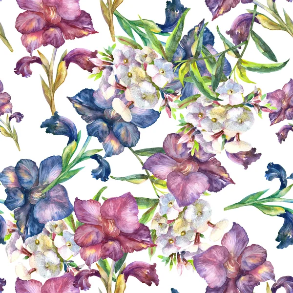 Mor Glayöl ve beyaz phlox