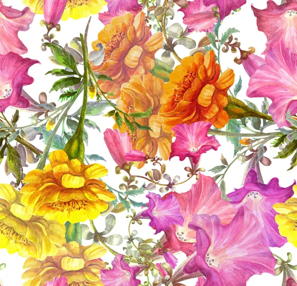 Petunia e Fiori di Calendula — Foto Stock