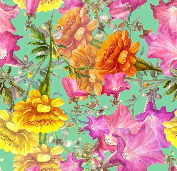 Petunia en goudsbloem bloemen — Stockfoto